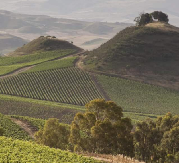 Madonie, le vie del Gusto