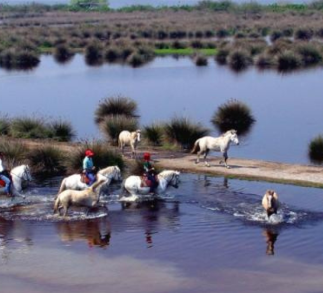 I MASTERPLAN DELL’INTERMODALITÀ NEL DELTA DEL PO
