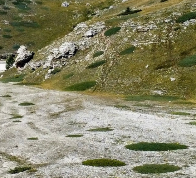 IL CAMMINO DEL GRAN SASSO