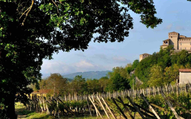 IL MITO DELLA MALVASIA / MALVASIA MYTH
