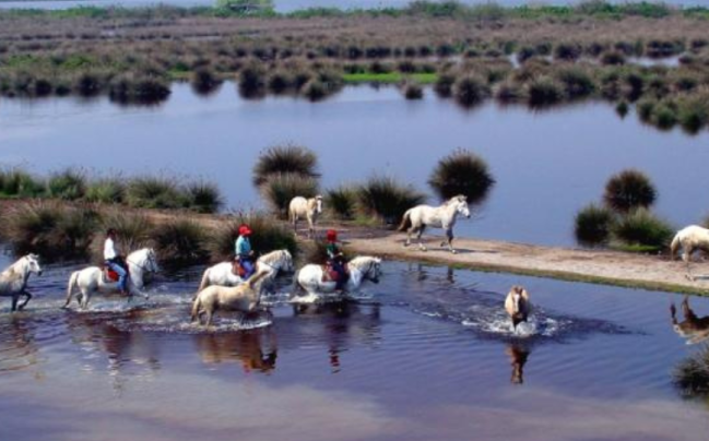 I MASTERPLAN DELL’INTERMODALITÀ NEL DELTA DEL PO