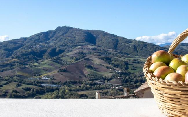 “PIC-ON”: esperienze di cui parlare