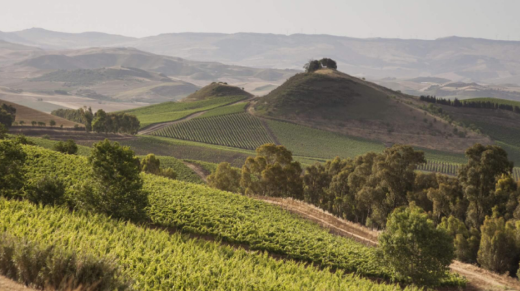 Madonie, le vie del Gusto