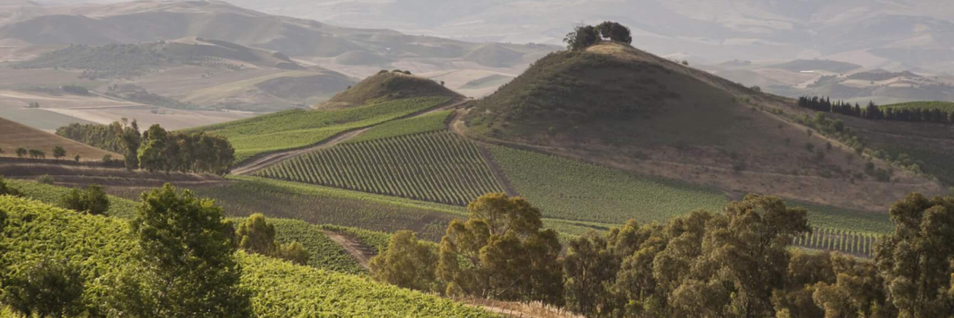 Madonie, le vie del Gusto