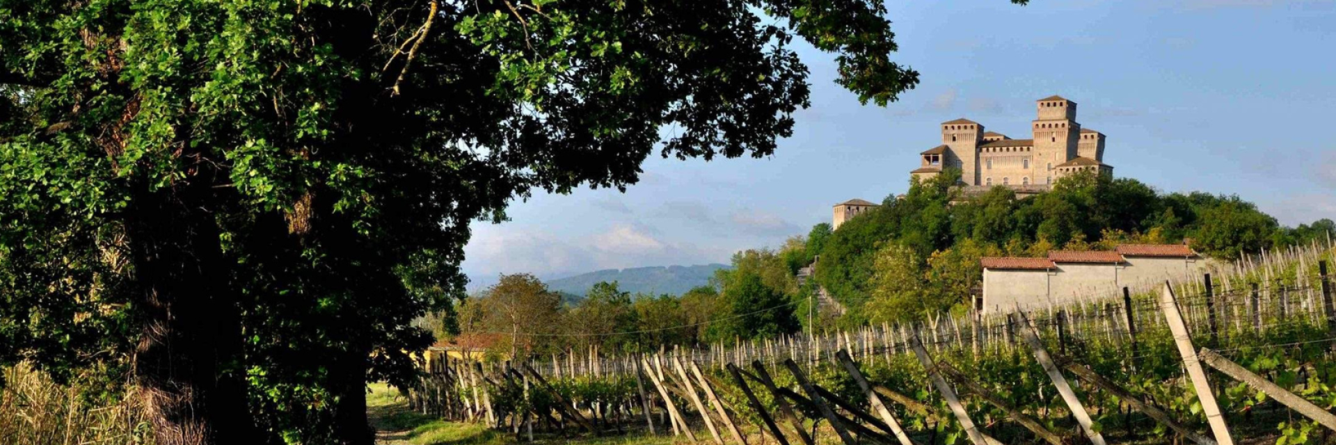 IL MITO DELLA MALVASIA / MALVASIA MYTH