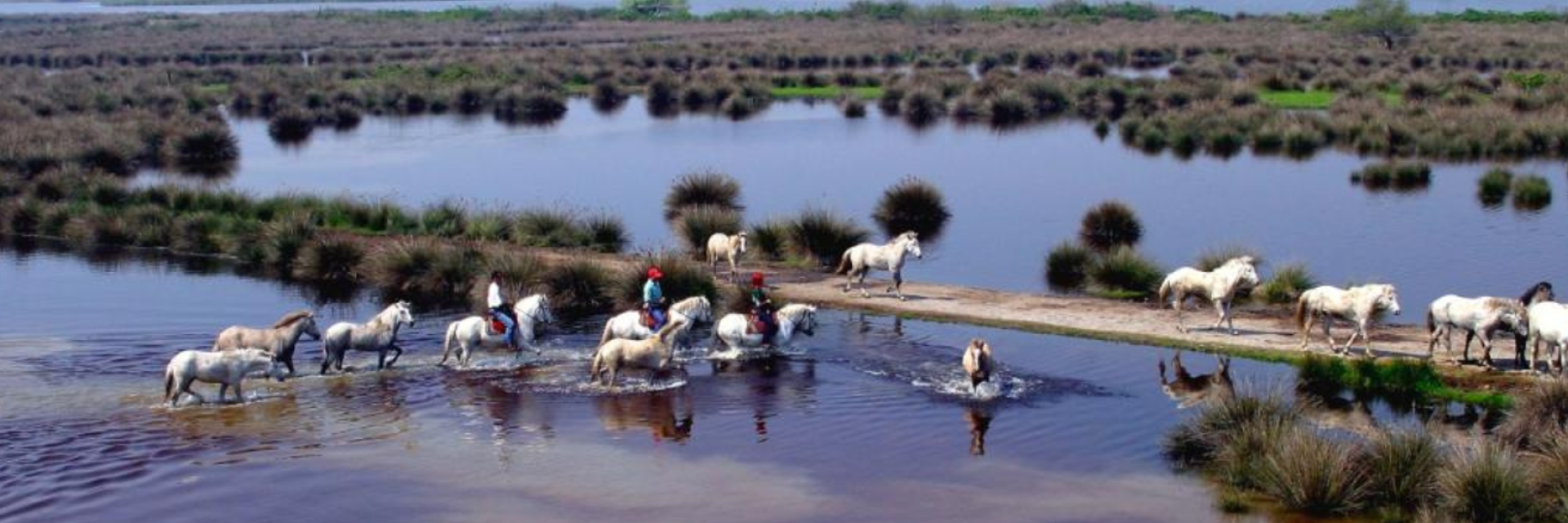 I MASTERPLAN DELL’INTERMODALITÀ NEL DELTA DEL PO